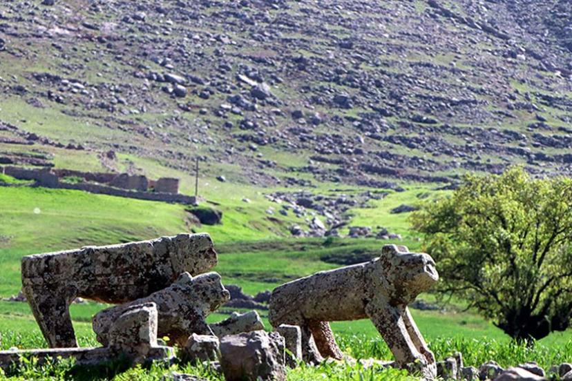 سوسن، قصه‌ای سبز در دل زاگرس؛ از شیرهای سنگی تا رود کارون