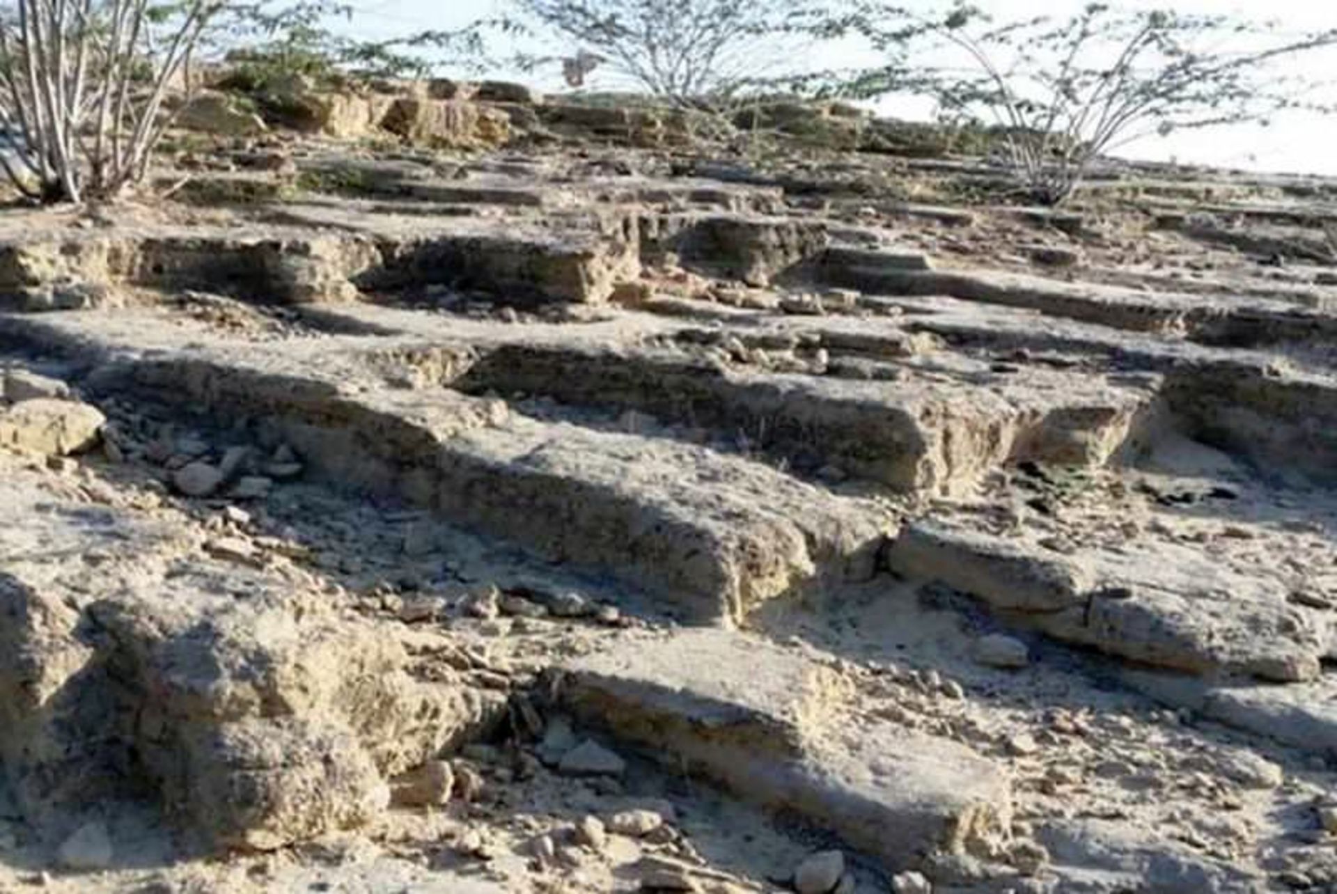 قبرستان تاریخی تیس
