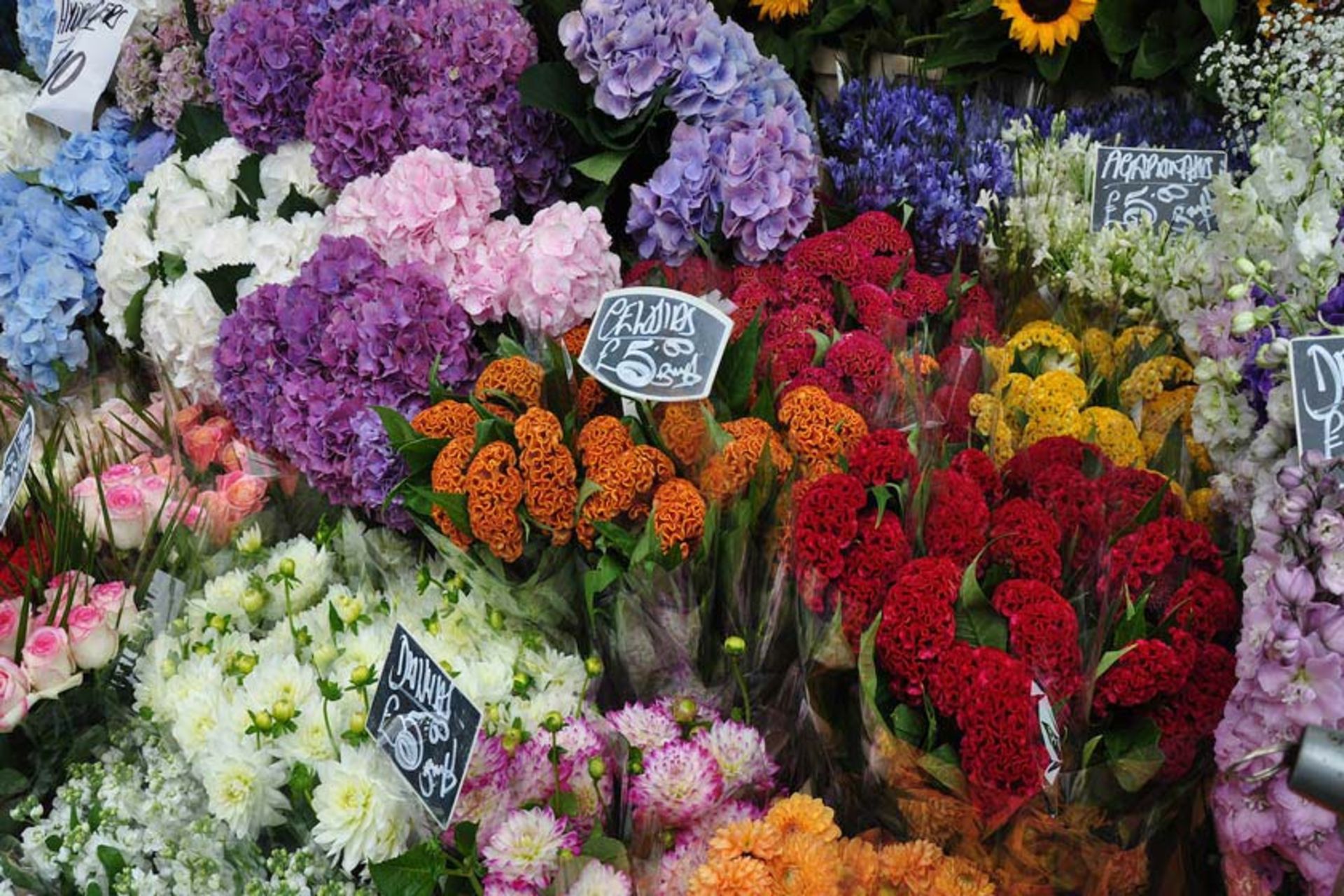 بازار گل خیابان کلمبیا