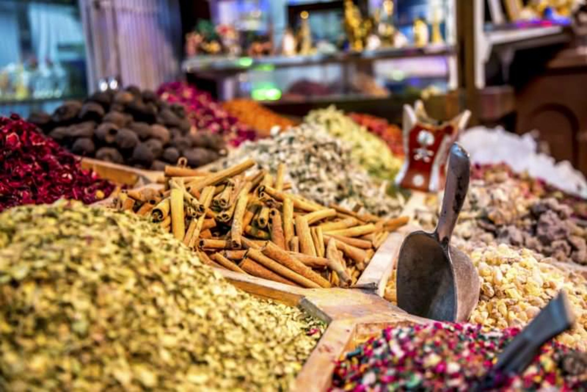 راهنمای خرید در فجیره 