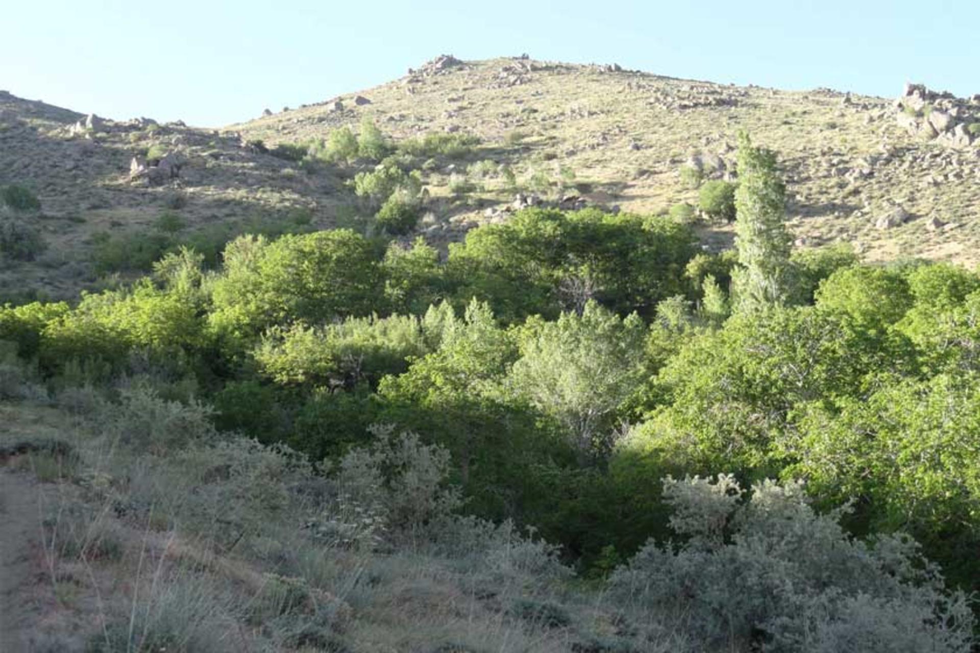 محوطه باستانی شمل