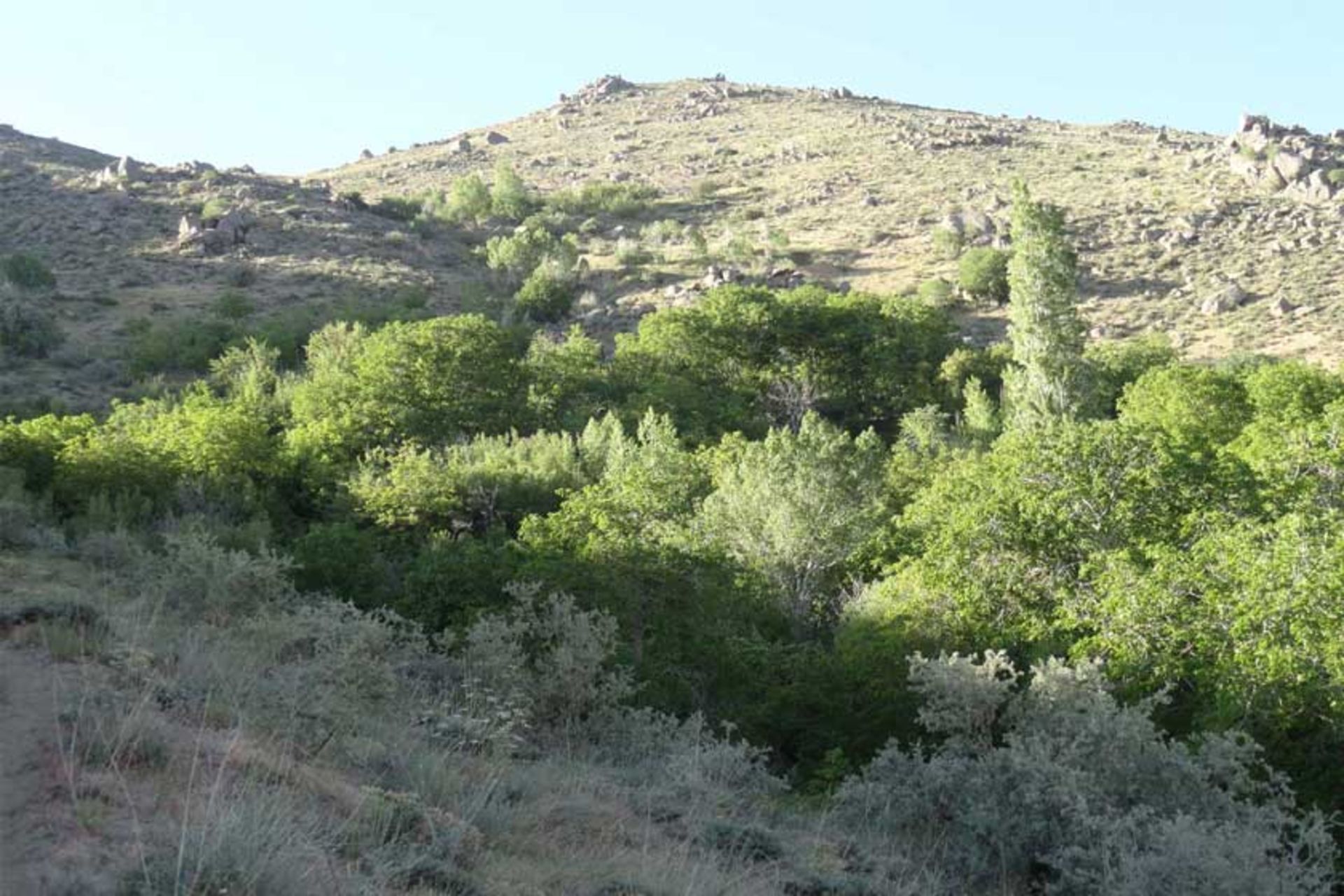 محوطه باستانی شمل