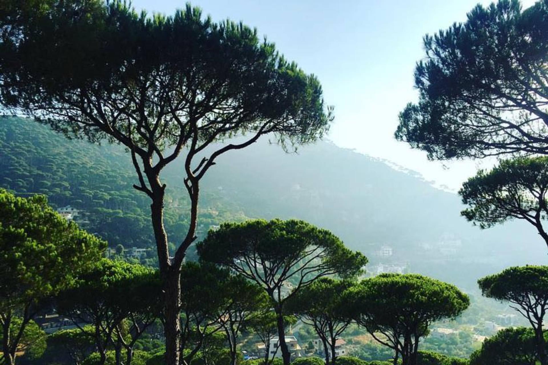 لبنان