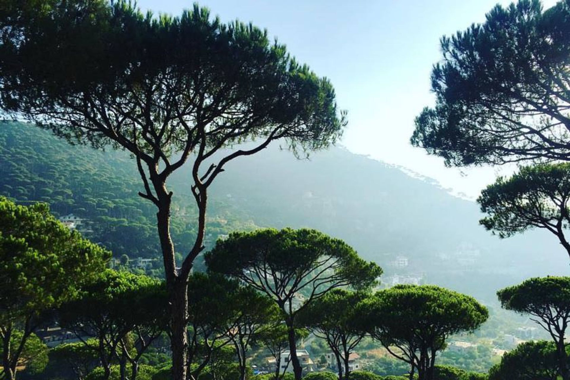 لبنان