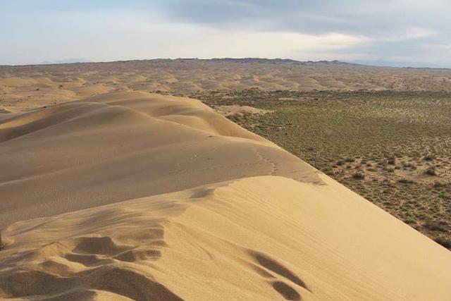 ریگ بلند 