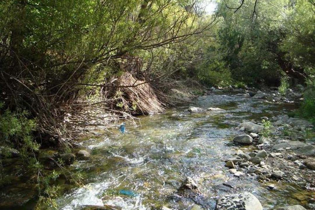 آبشار چاران