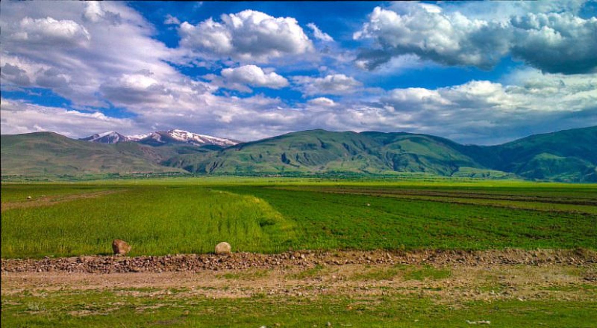 دشت مغان