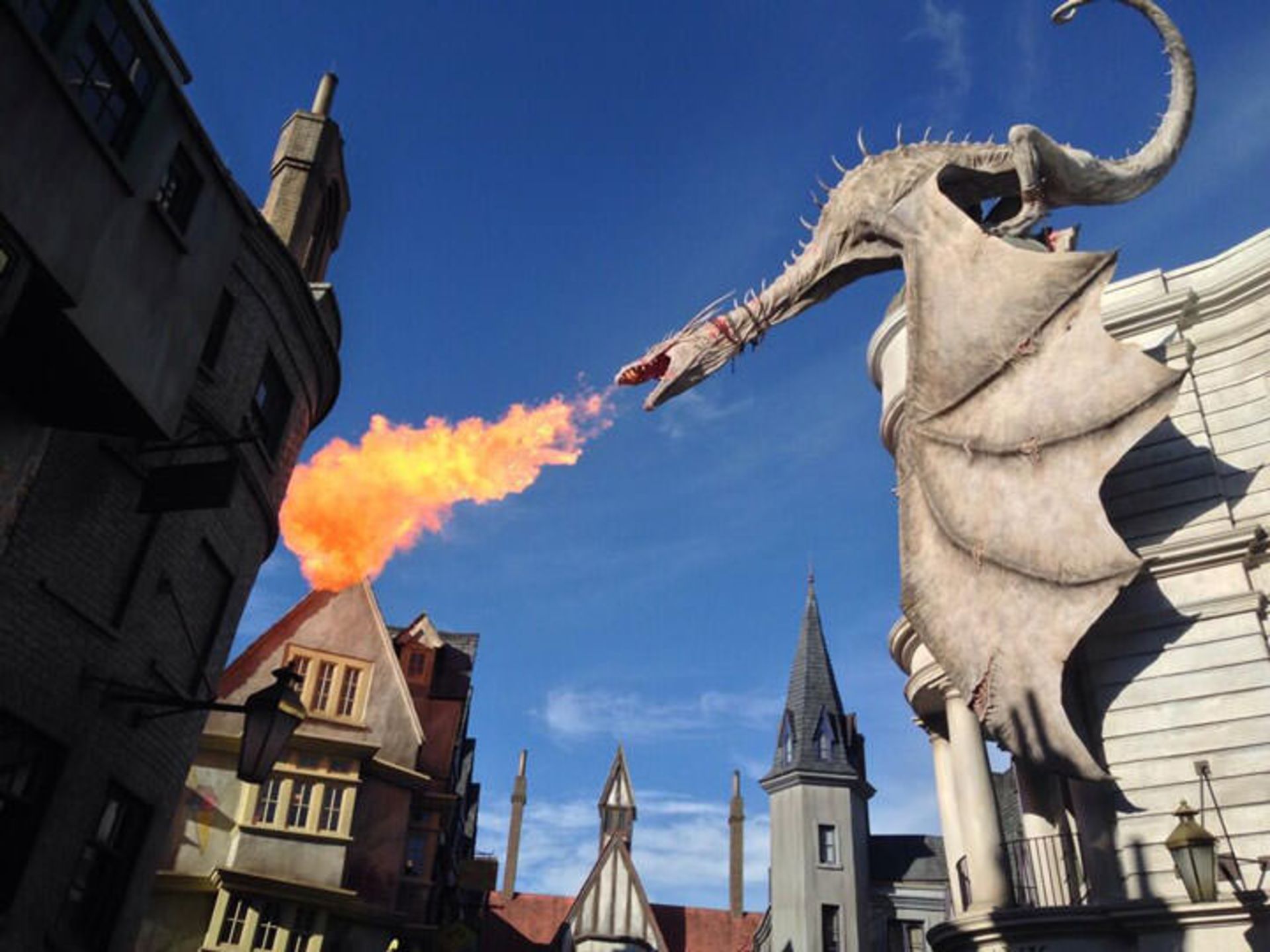 The Gringotts dragon harry potter