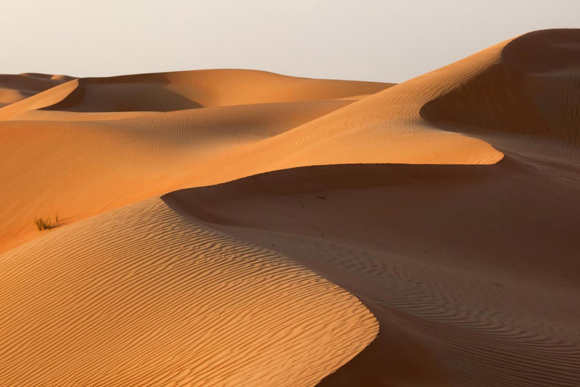 بیابان ربع الخالی