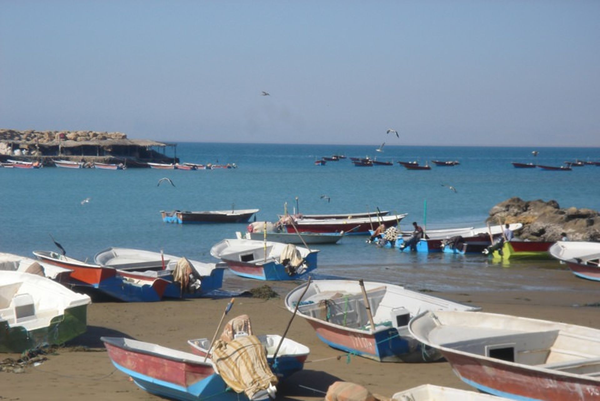اسکه تیس