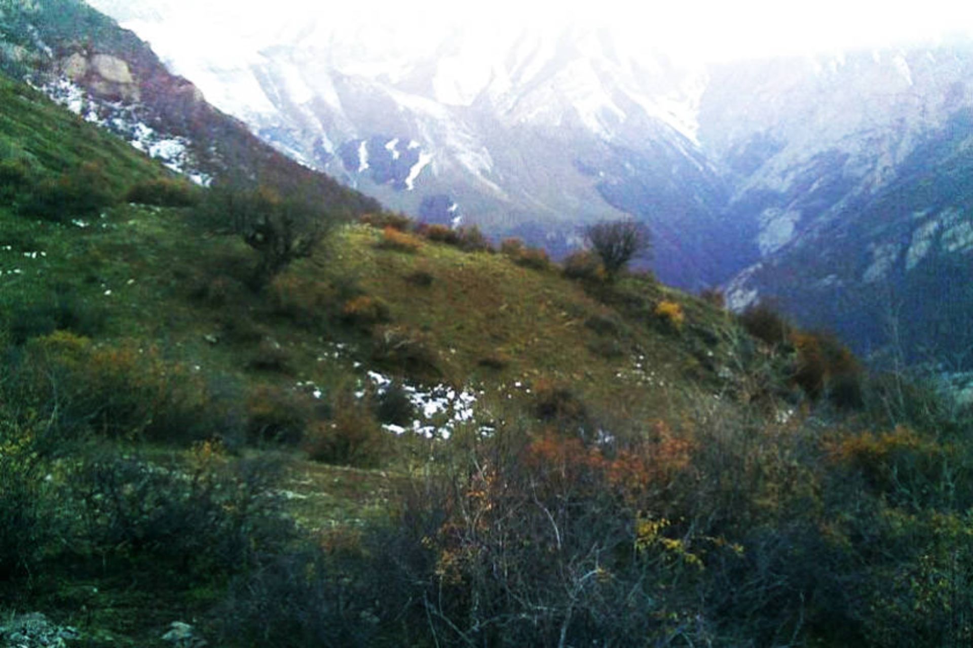 منطقه حفاظت‌ شده بلس کوه