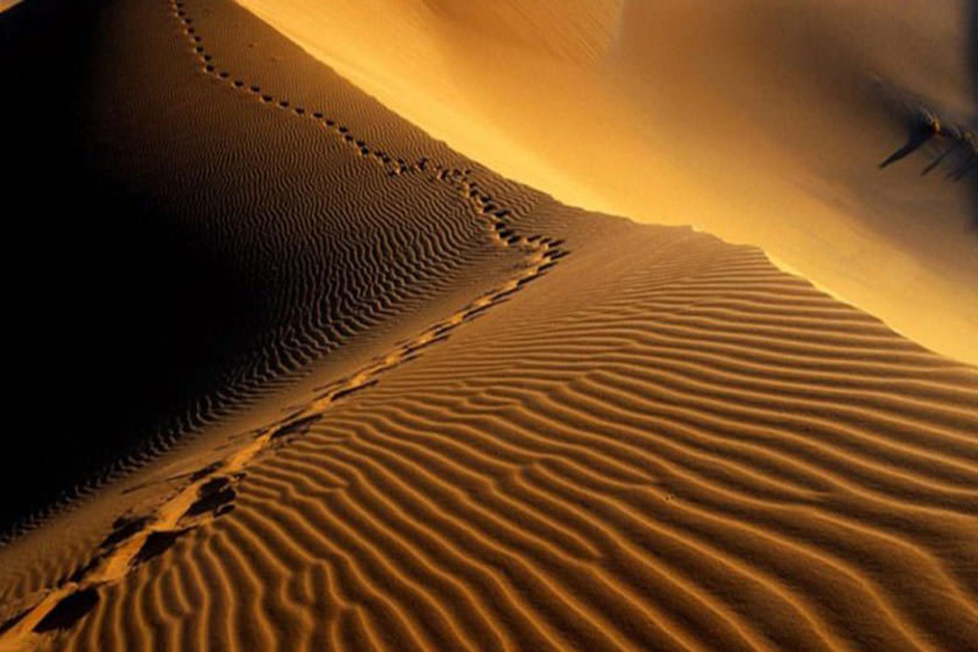 ببابان لوت