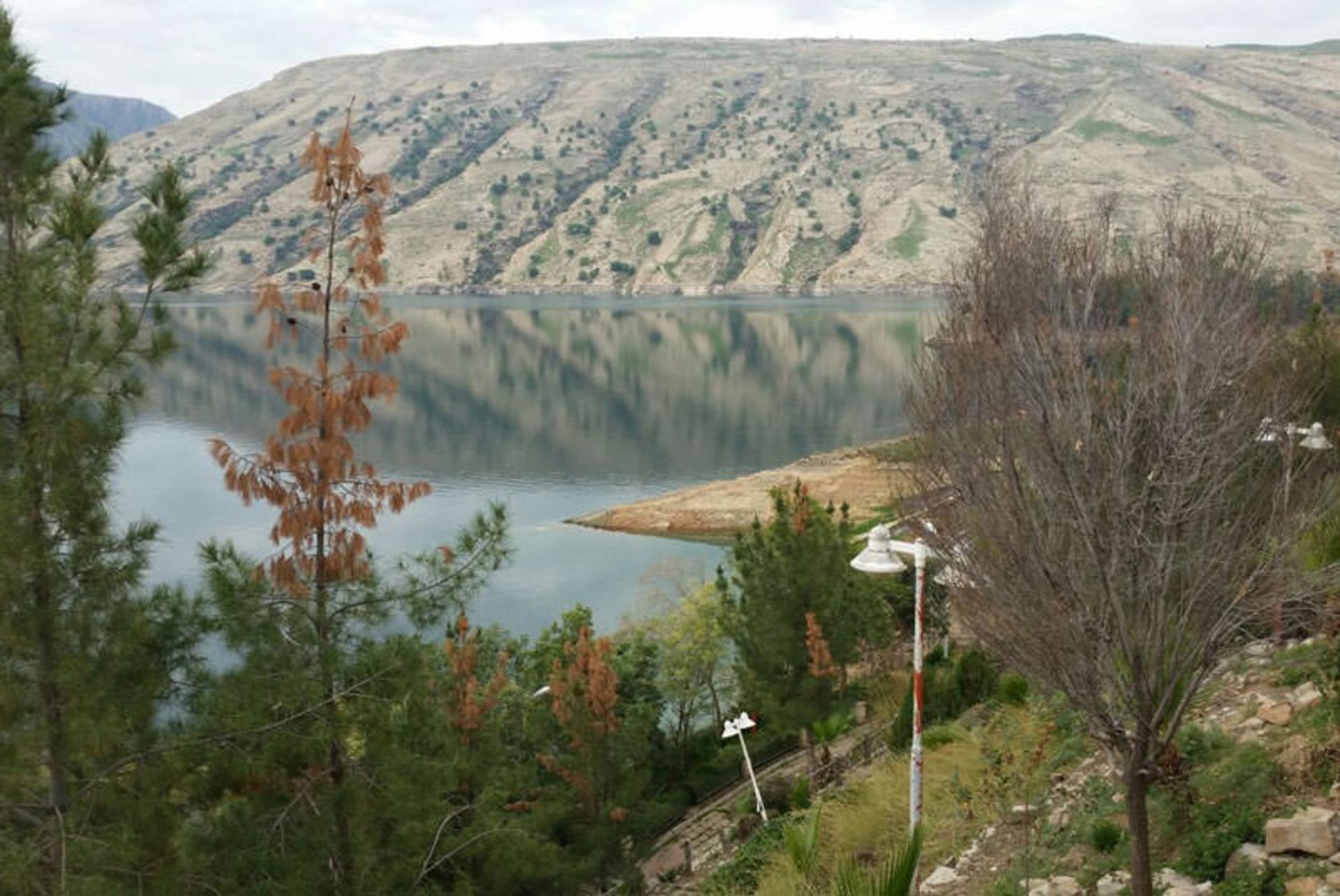 مسجد سلیمان