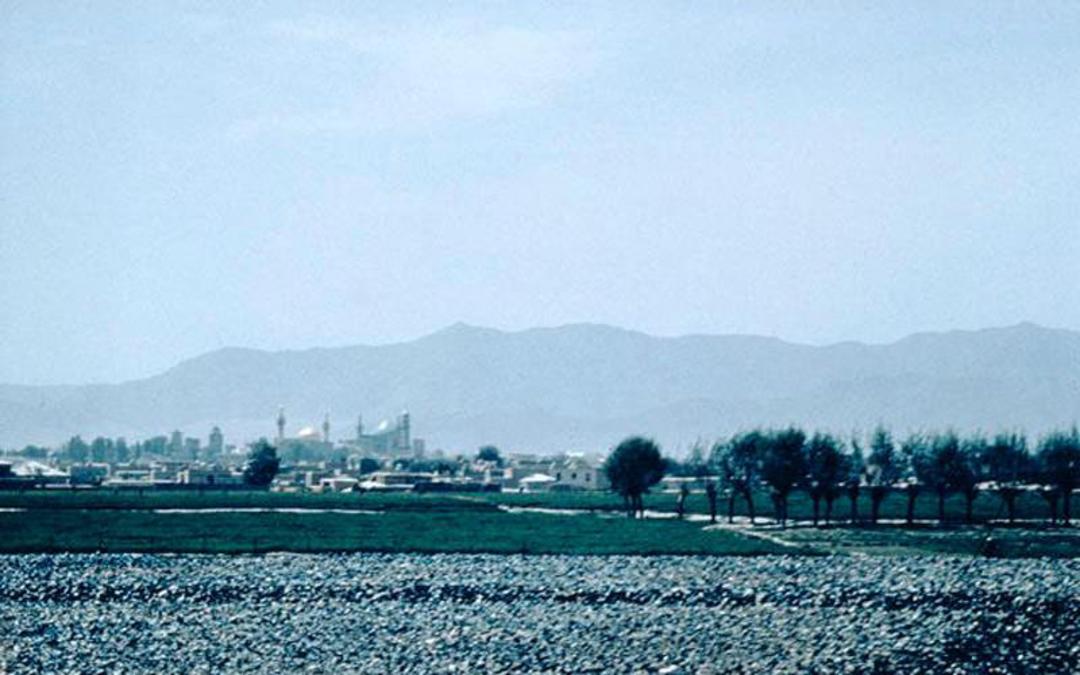 حرم امام رضا