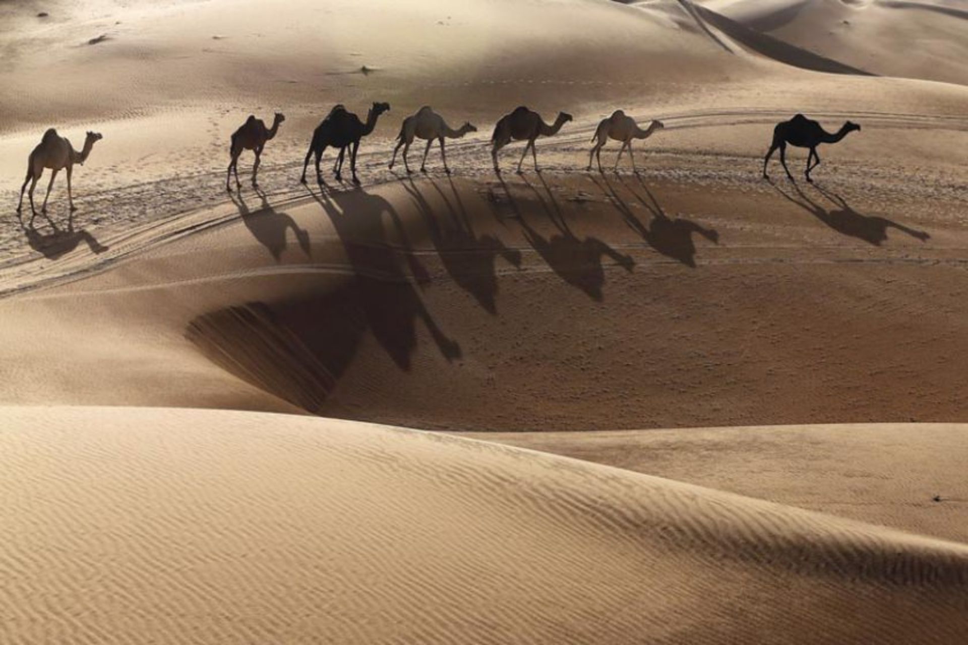 راس الخیمه