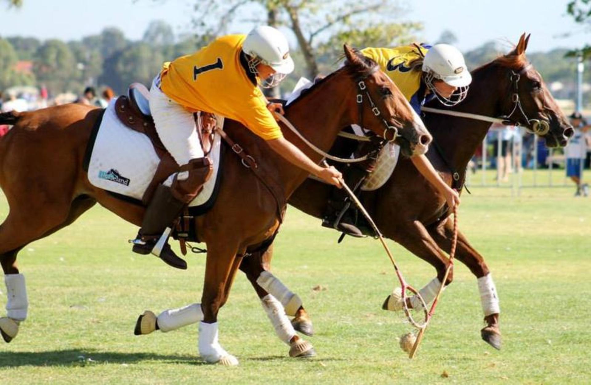 polocrosse