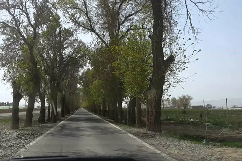 ورامین
