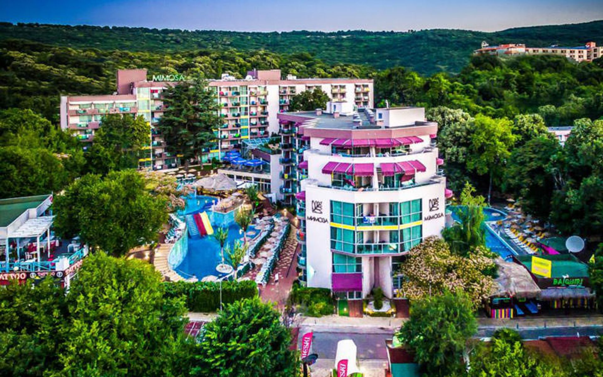 هتل کوو میموسا سان شاین (COOEE Mimosa Sunshine Hotel)