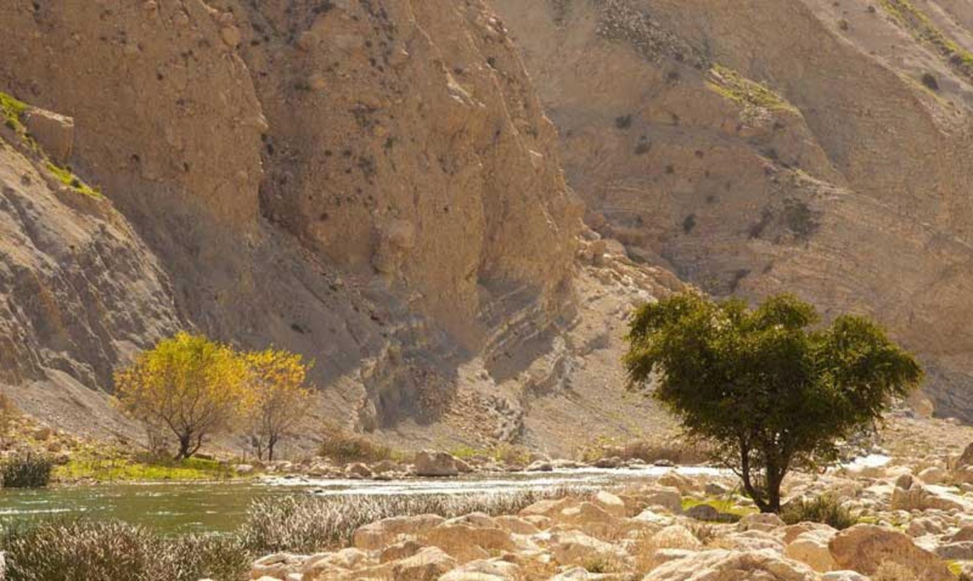 منطقه شکار ممنوع کوه بدیل