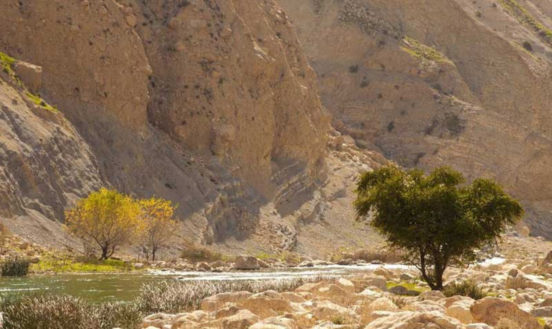 منطقه شکار ممنوع کوه بدیل