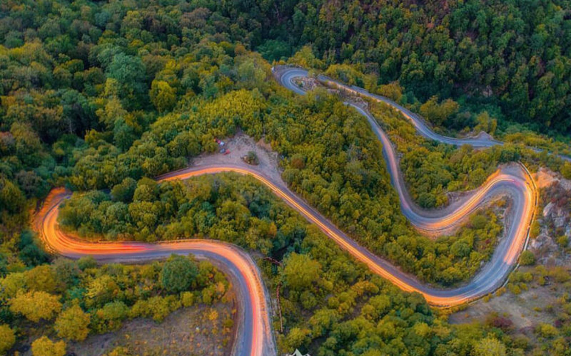 جنگل توسکستان