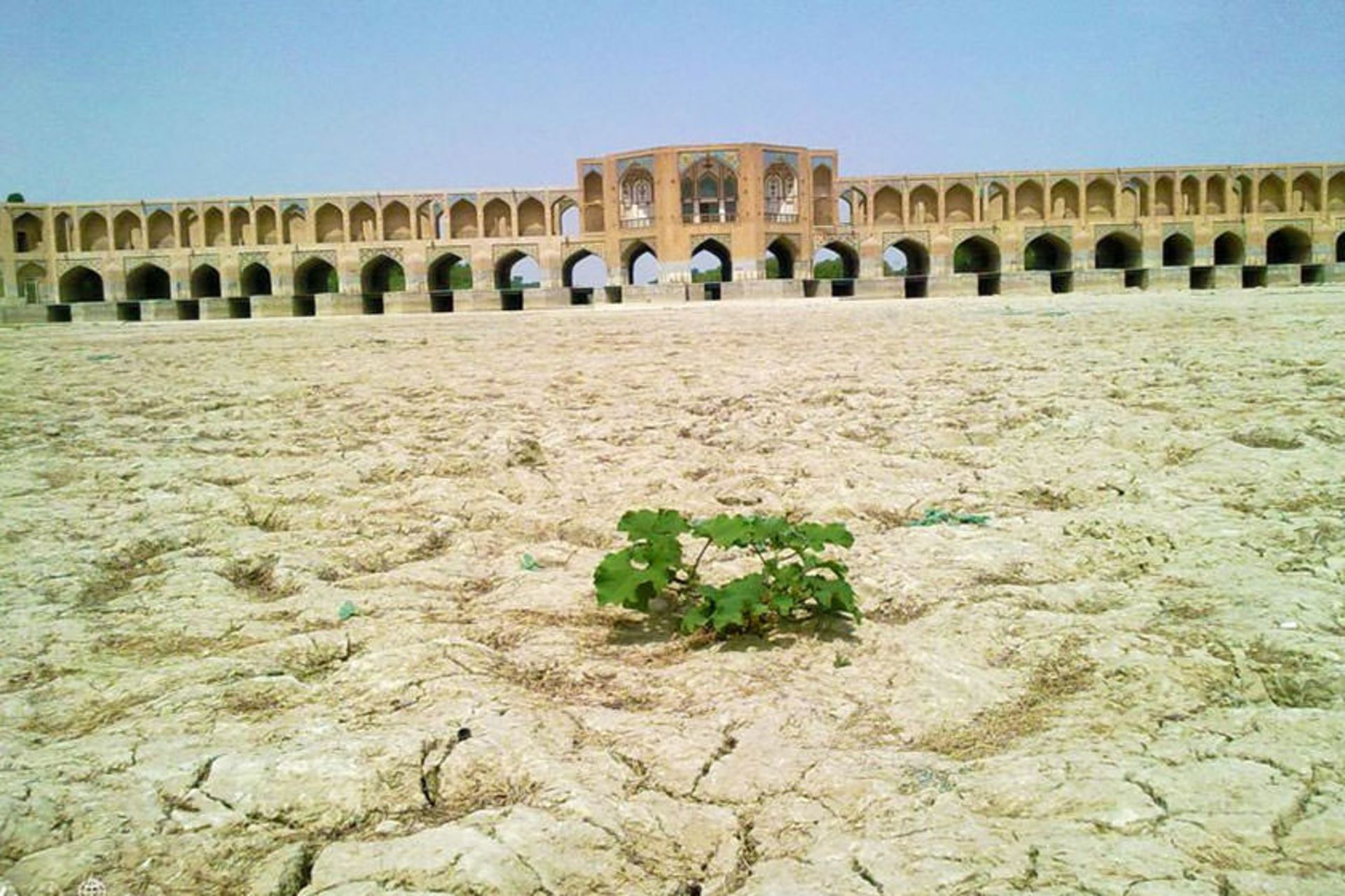 زاینده رود