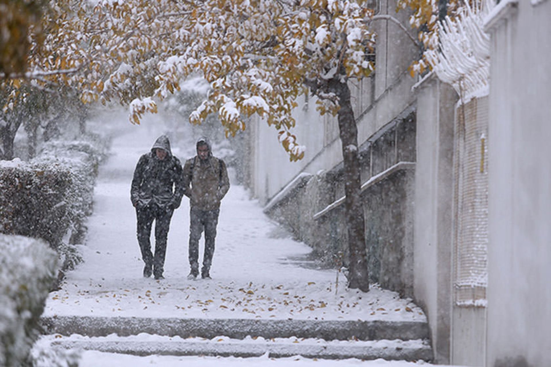 برف و باران