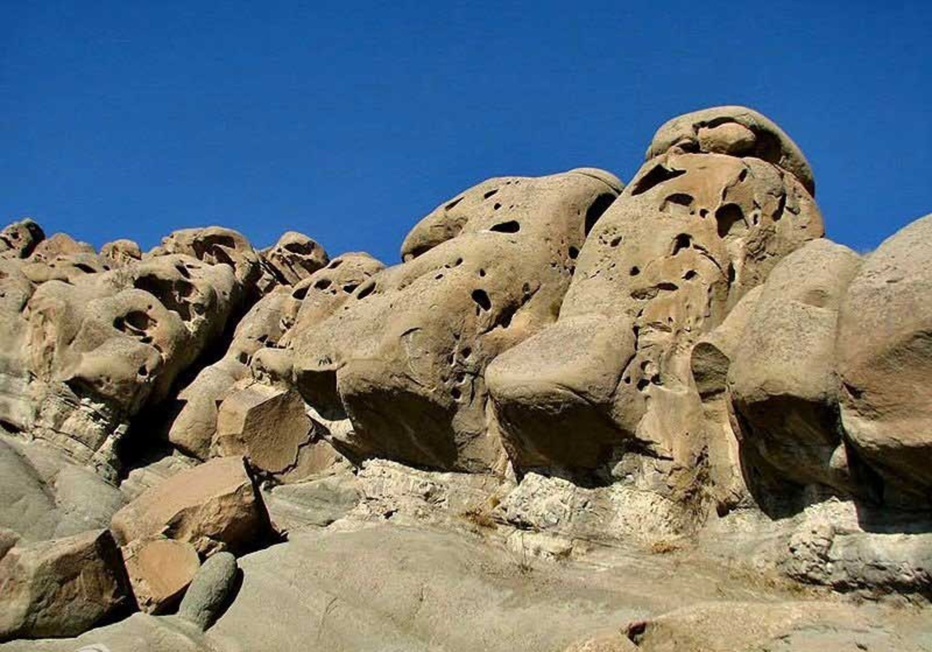 وردیج، تهران