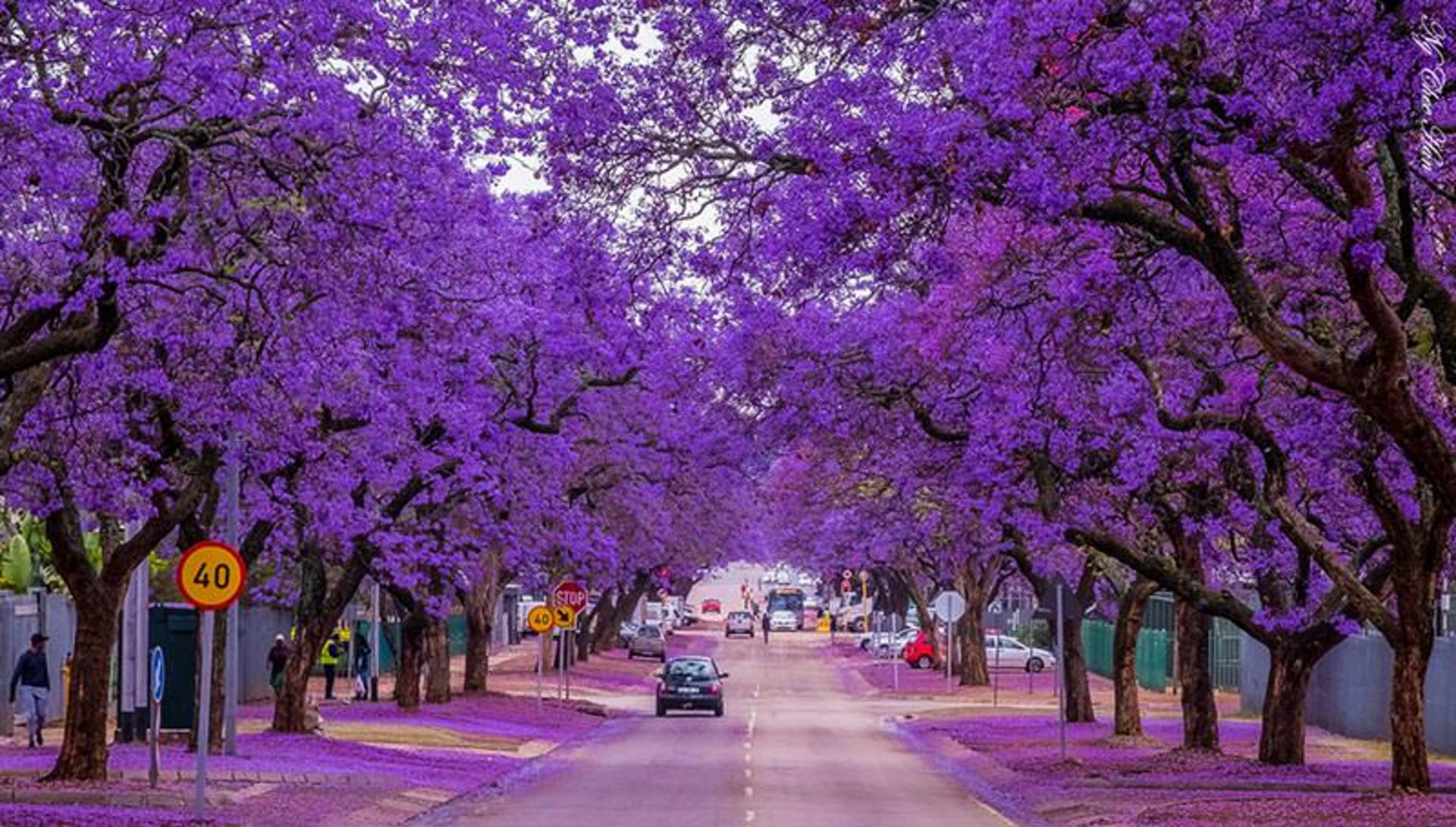 pretoria