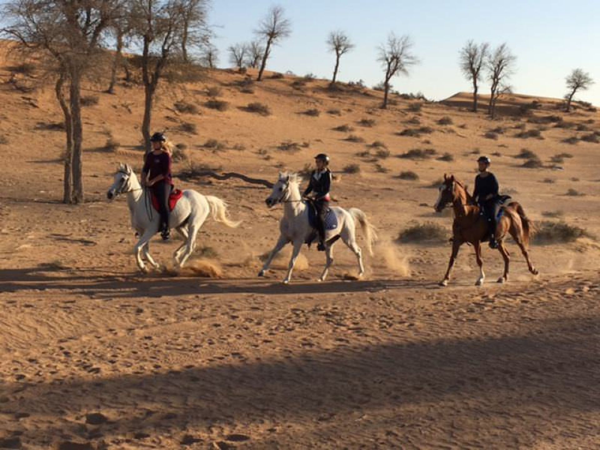 راس الخیمه