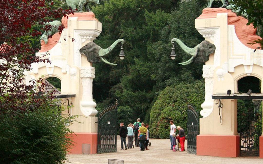 هامبورگ