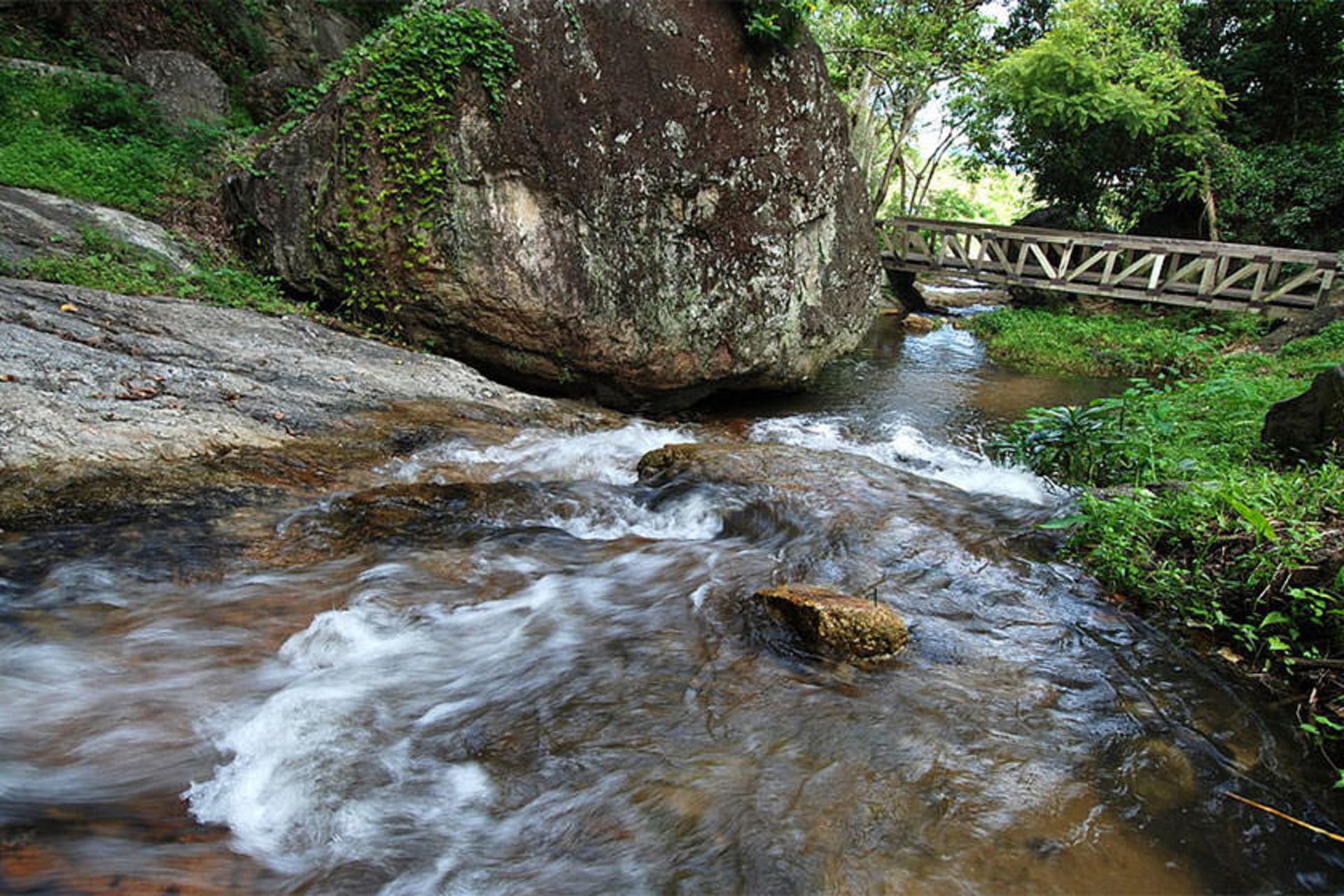 چیانگ مای