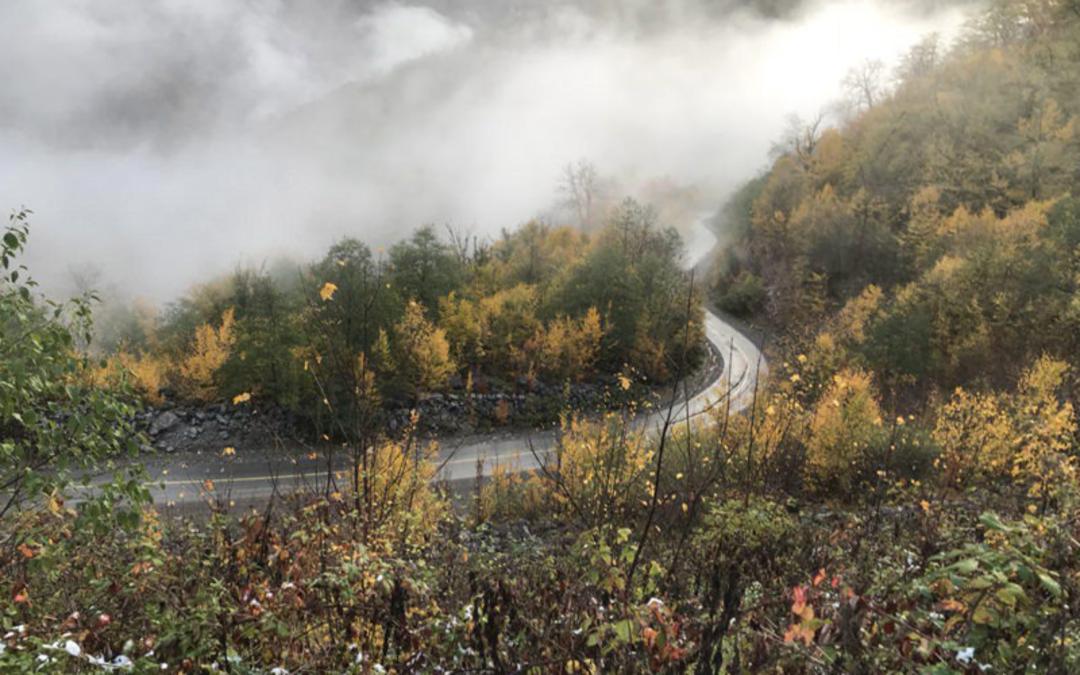 جنگل توسکستان