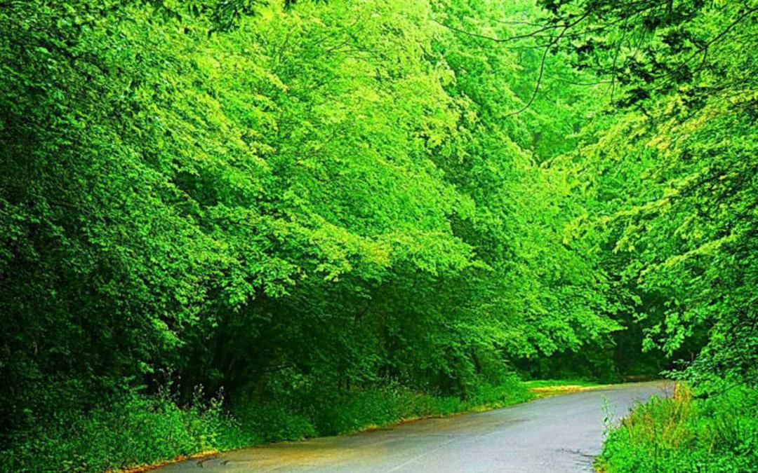 پناهگاه حیات‌وحش سمسکنده