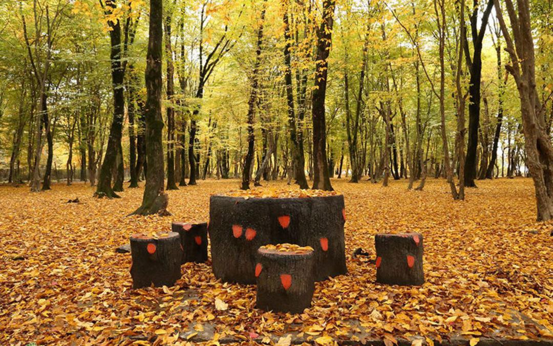 پارک جنگلی النگدره