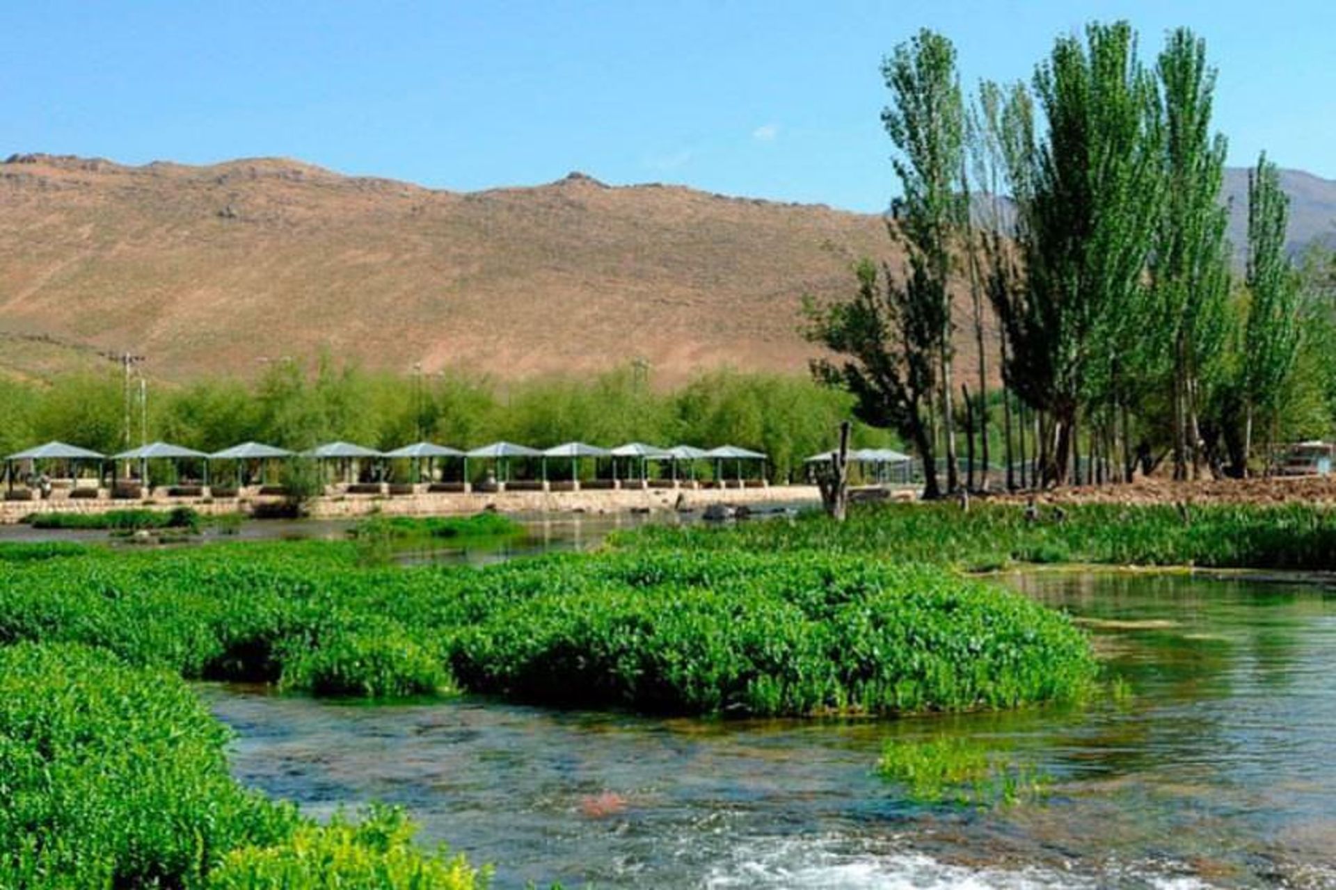 چشمه دیمه