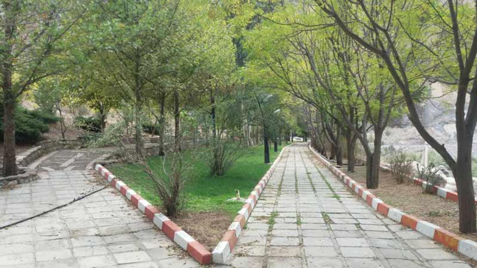 پارک ساحلی سپیددشت