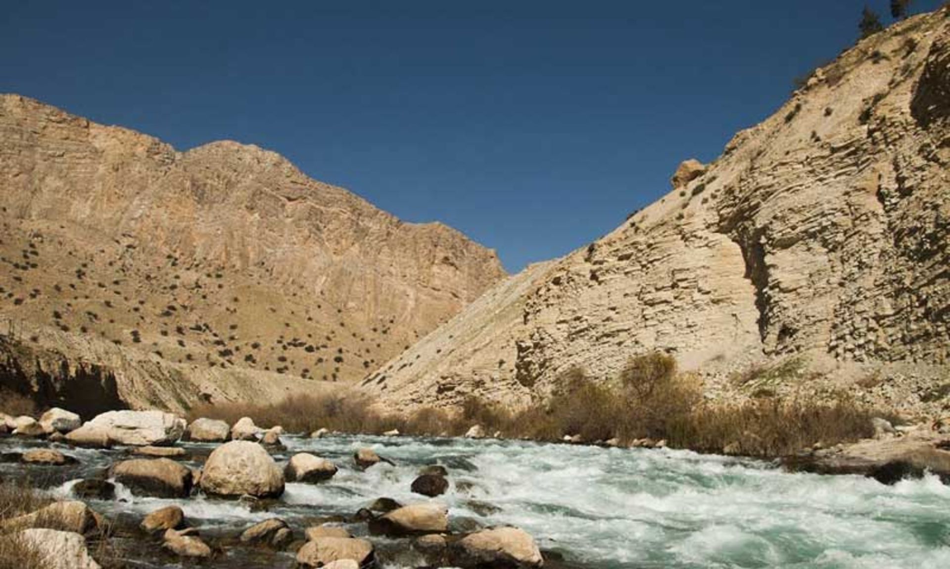 منطقه شکار ممنوع کوه بدیل