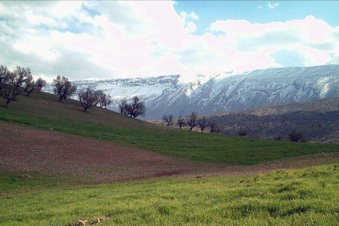 ایلام