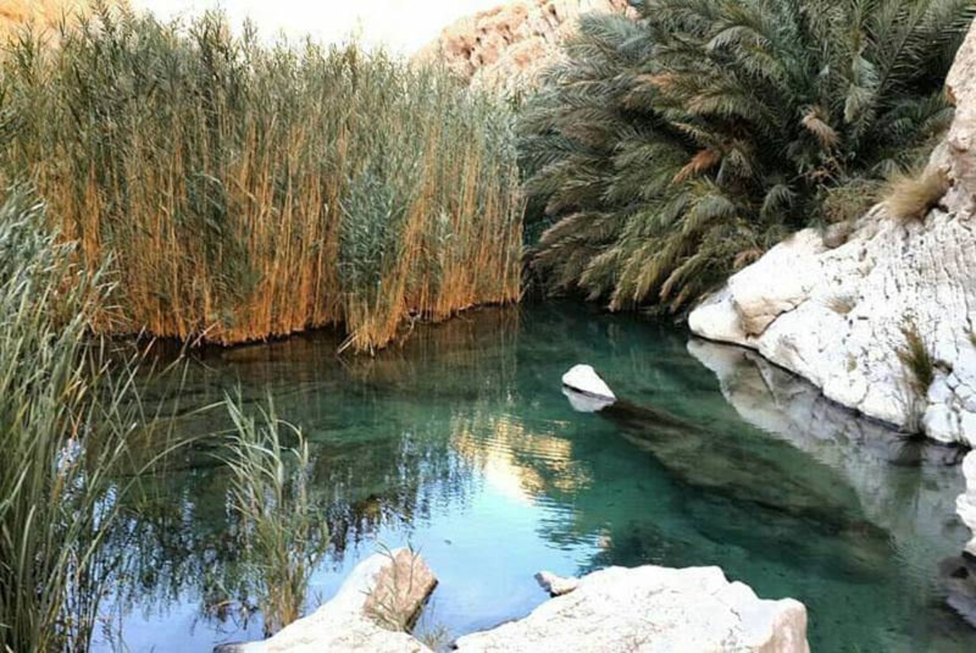 تخت عروس 
