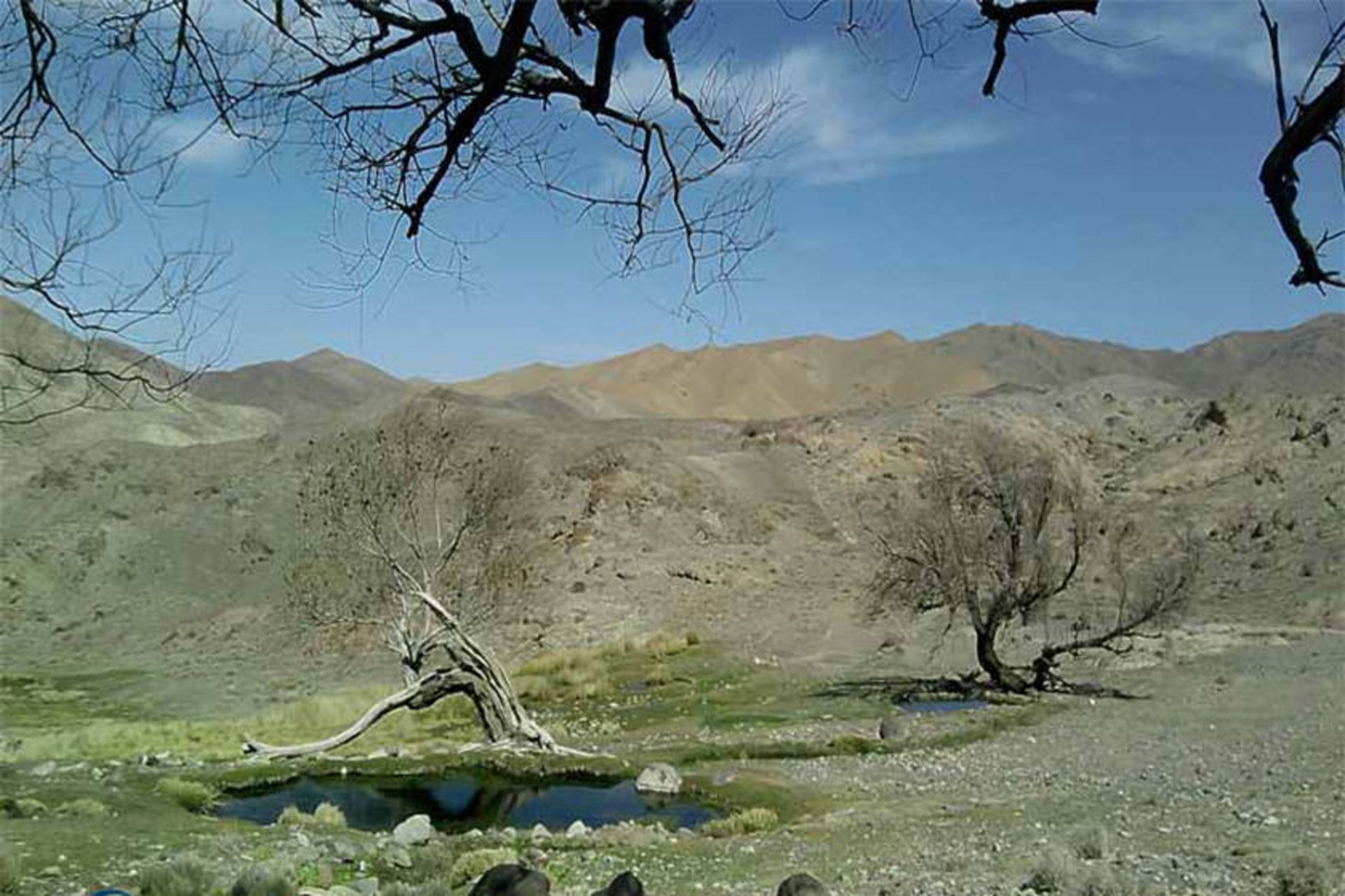رشته‌کوه مومن‌آباد