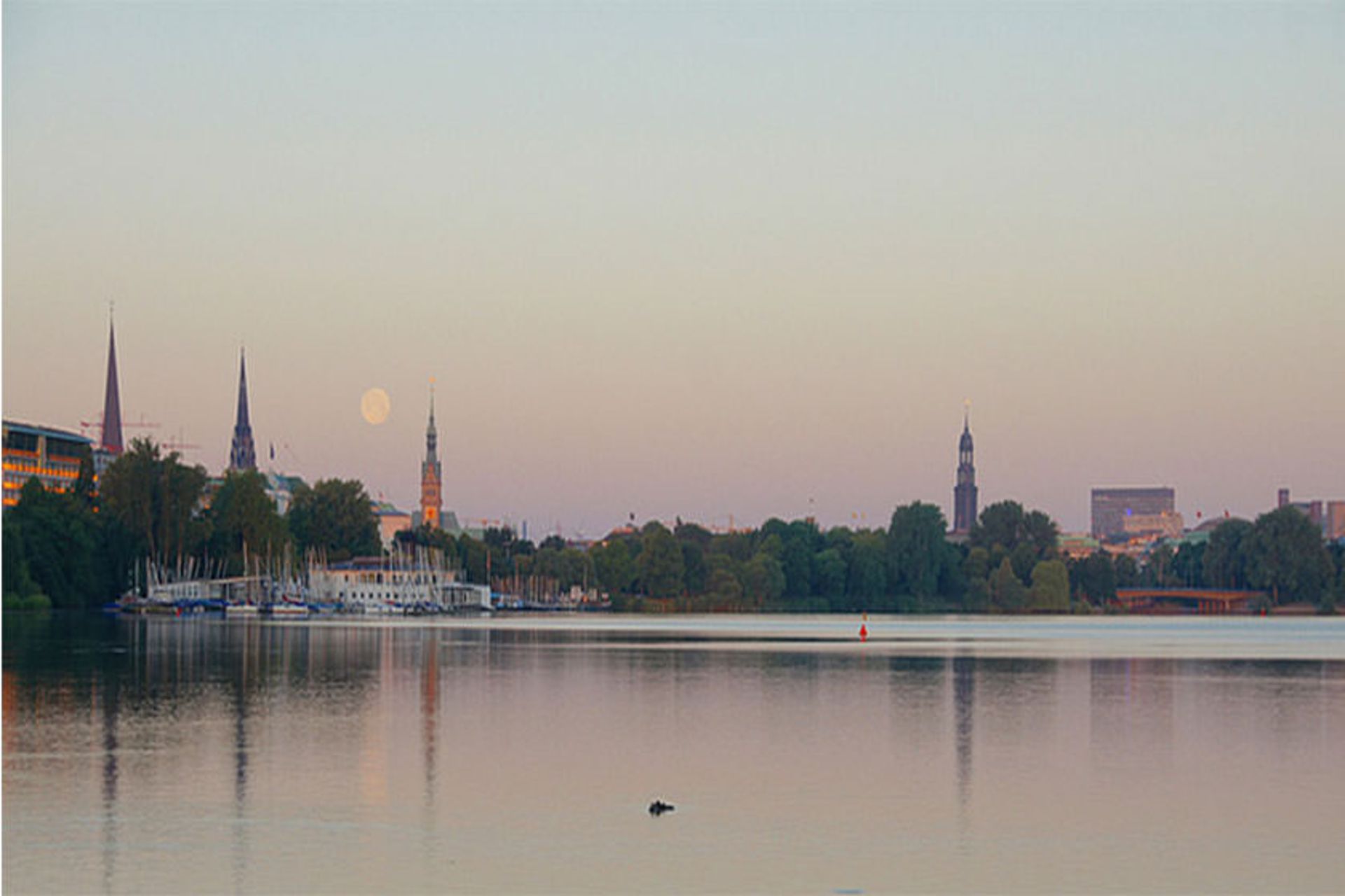 رودخانه الستر