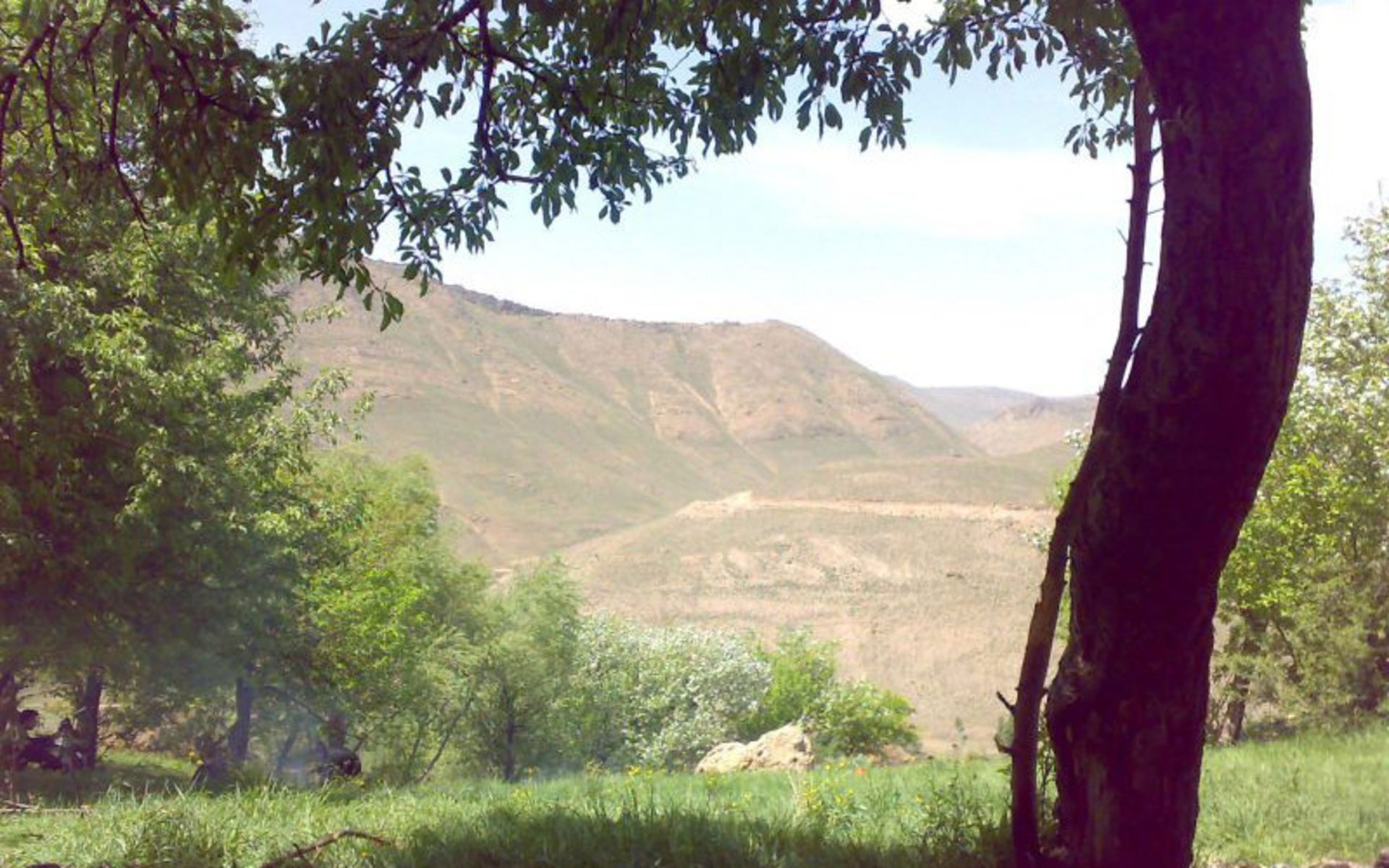 چشمه‌علی بلاغی