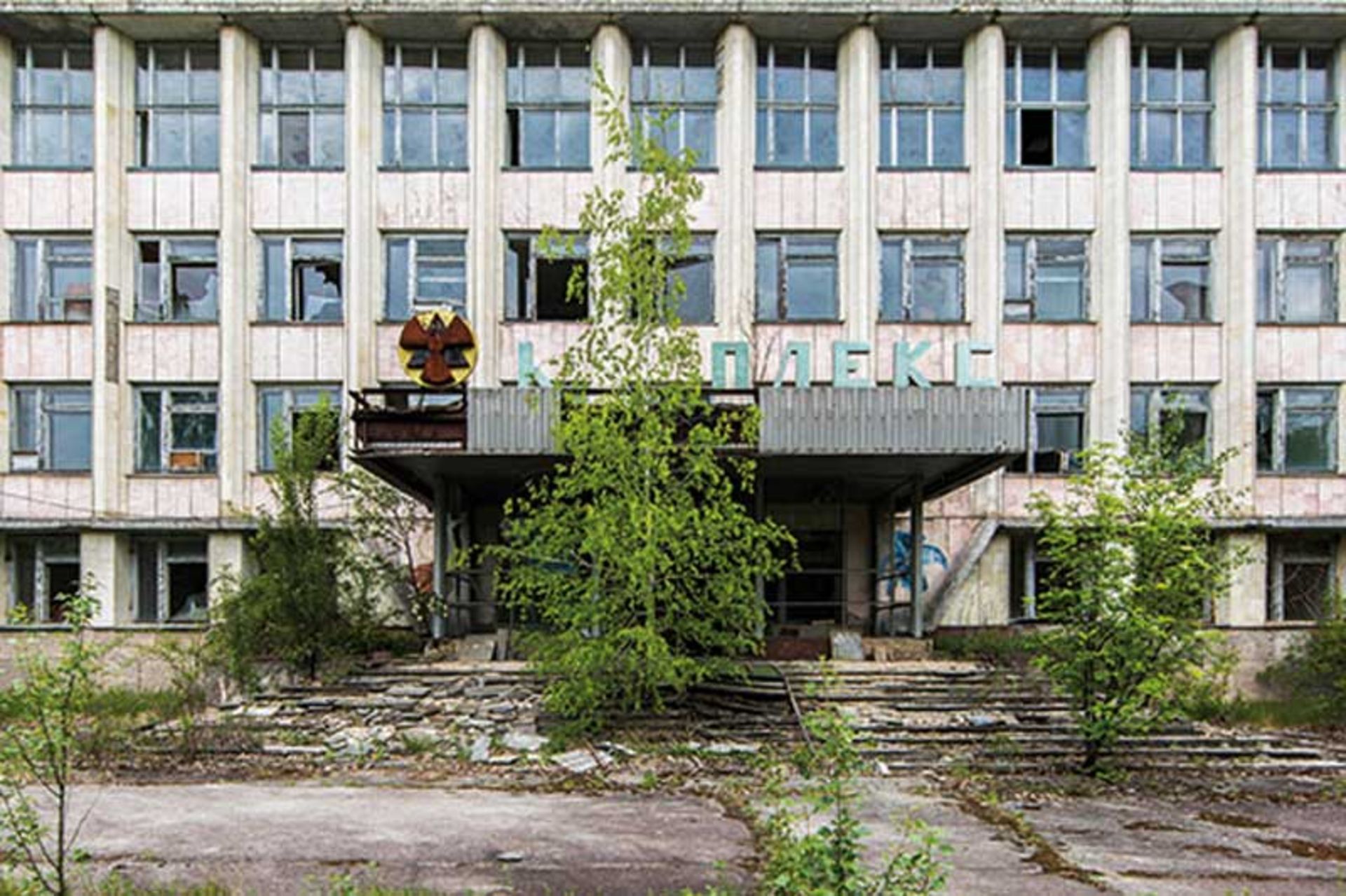 رشد گیاهان در مکان های متروکه