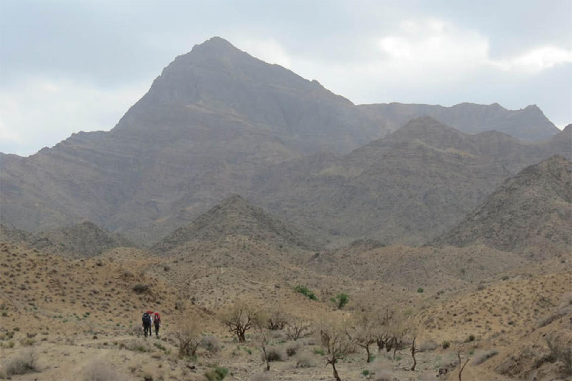 کوه شاه 
