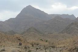 کوه شاه 
