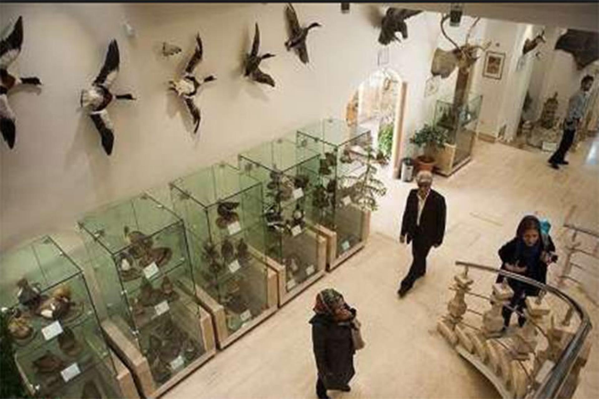 موزه تاریخ طبیعی