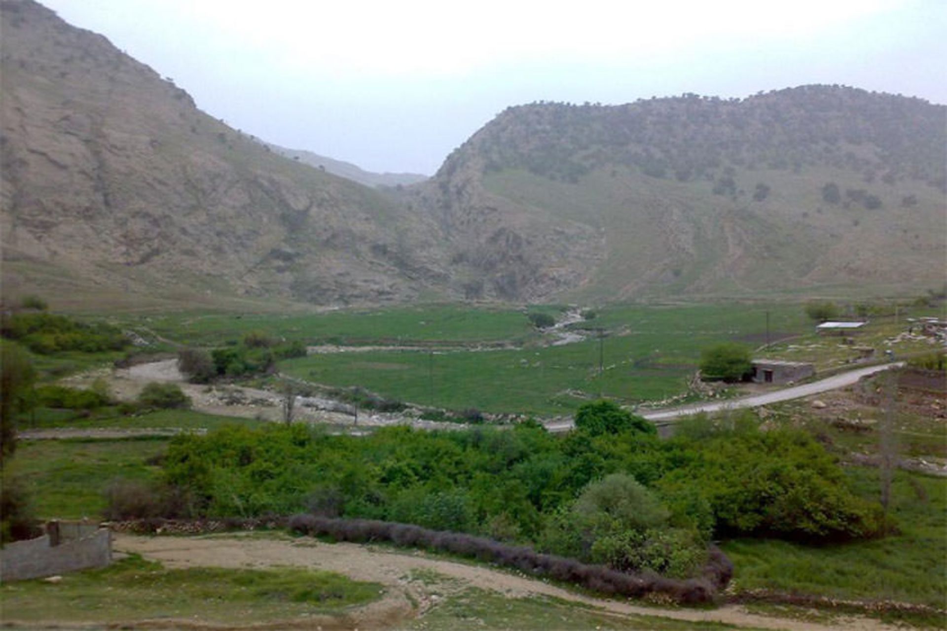 پارک جنگلی تمبی