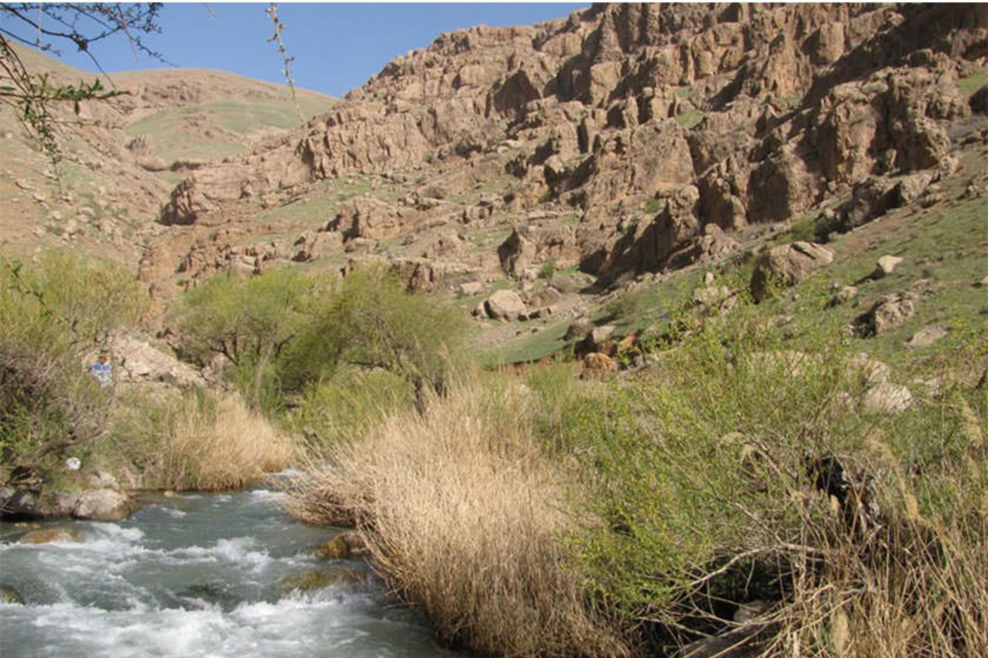 آبشار ونایی