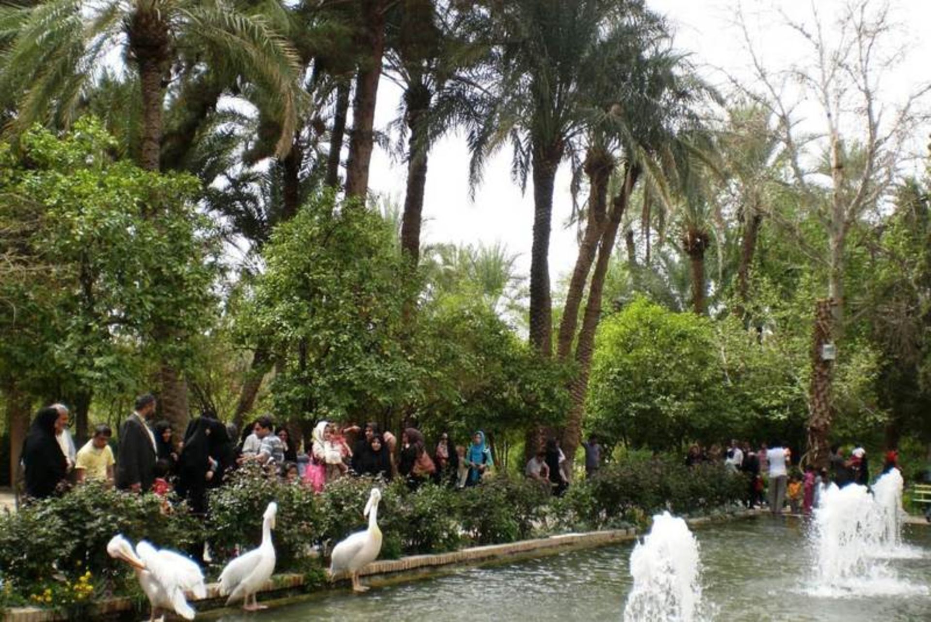 باغ گلشن طبس